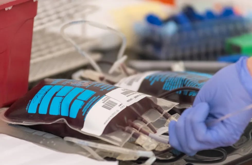 Los donantes voluntarios de sangre pasaron de 43% a 67% en Mendoza. Ya son casi 7 de cada 10.