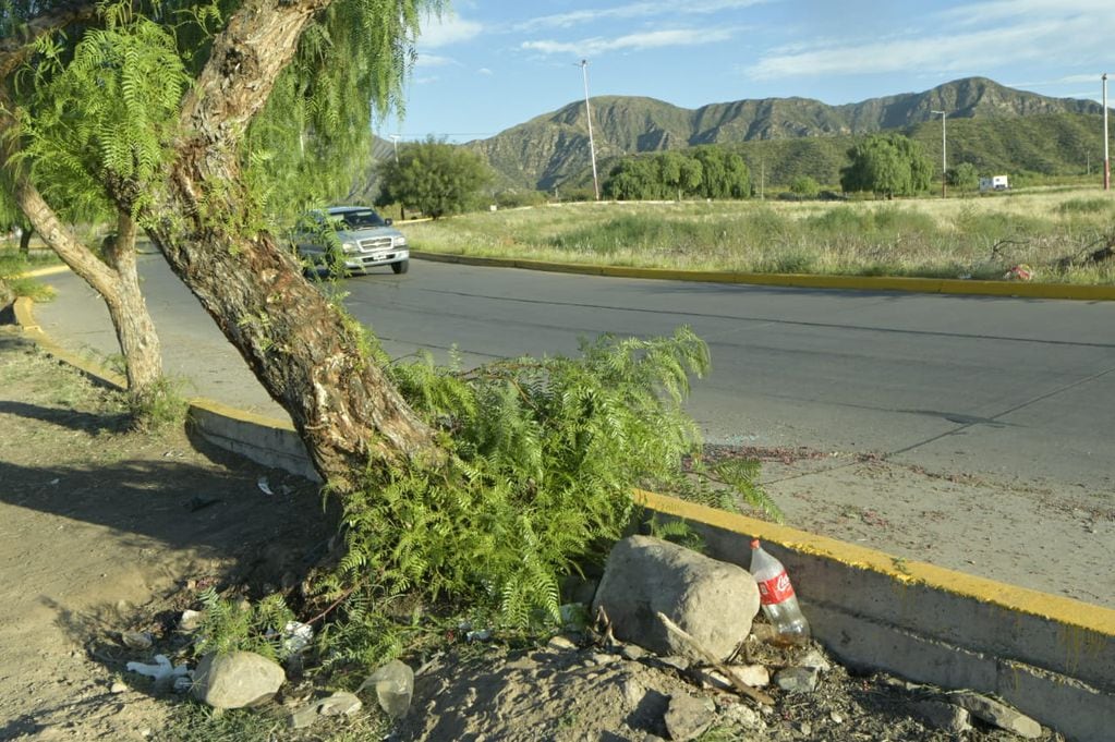 El lugar de la tragedia en la rotonda de El Challao (Foto: Orlando Pelichotti / Los Andes)