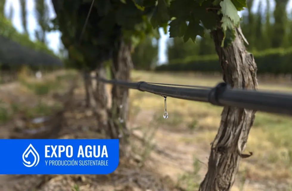 Expo Agua 2024 Irrigación