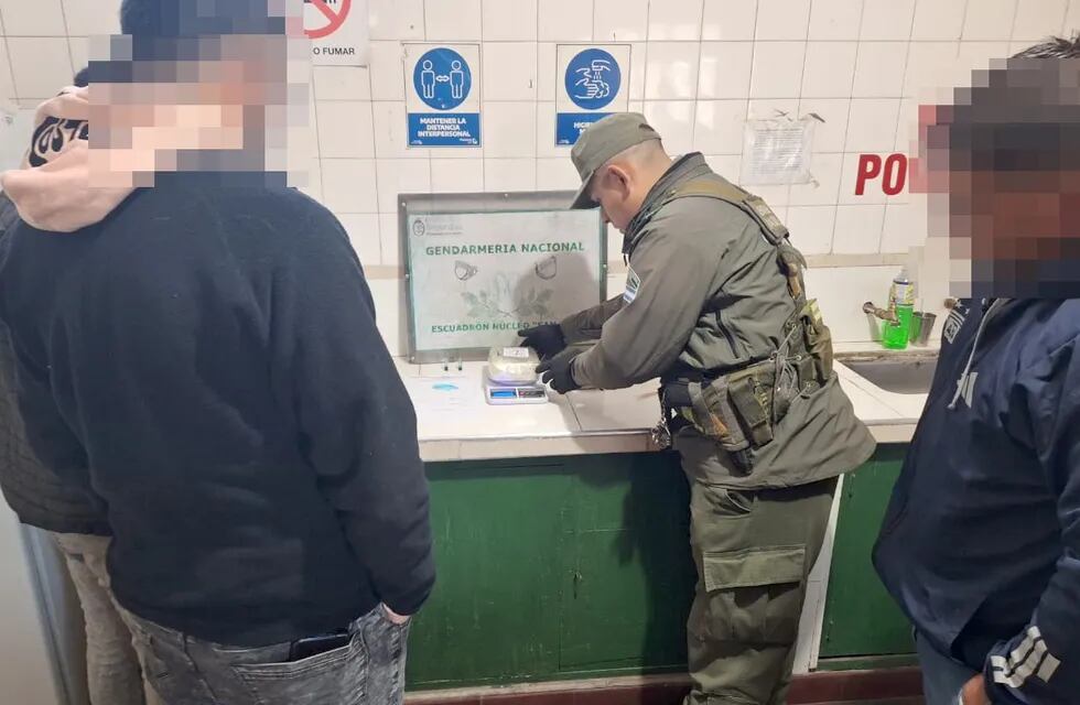 La droga que venía a Mendoza en un colectivo que salió de Córdoba. Gentileza Gendarmería Nacional.