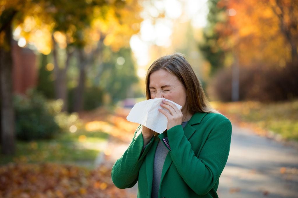 Los cambios de temporada pueden producir empeoramientos de los síntomas de alergia, sobre todo, en aquellas personas que sufren rinitis alérgica o asma. Foto: 123 rf