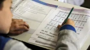 Más del 40% de los alumnos de sexto grado de Mendoza tiene dificultades para comprender un texto