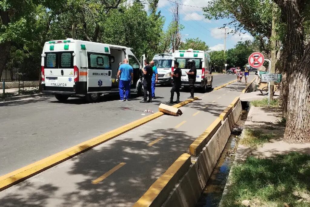 Sufrió graves heridas al colgarse de la camioneta para impedir que se la robaran en Guaymallén