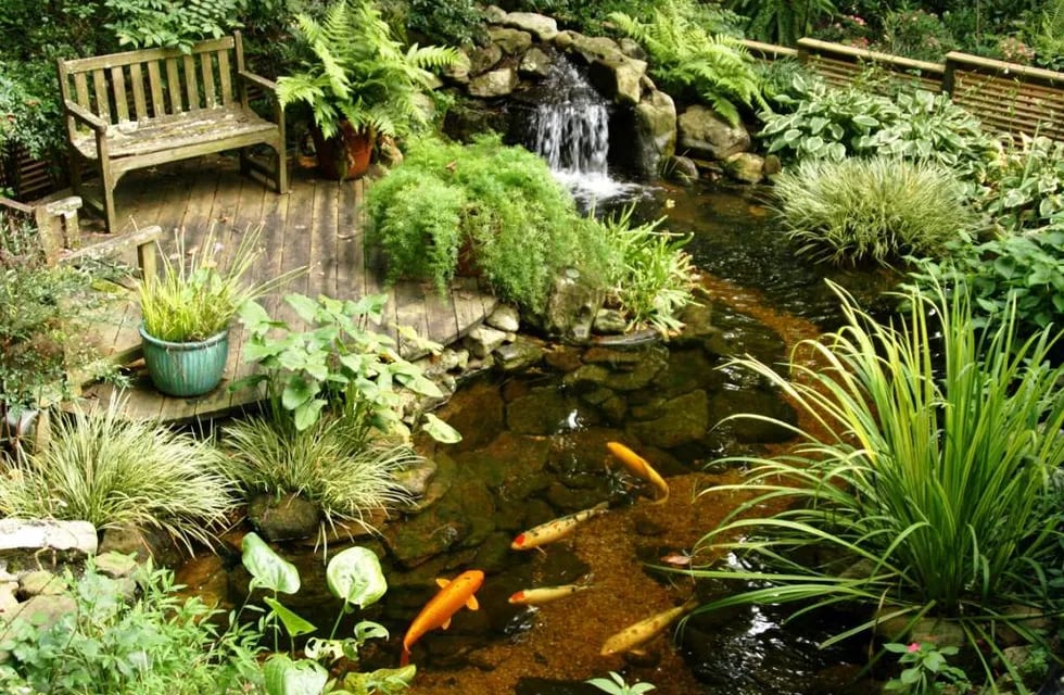 Decorá tu jardín con un hermoso estanque 