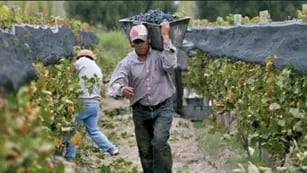 Paritarias vitivinícolas: Soeva quiere un 100% de aumento