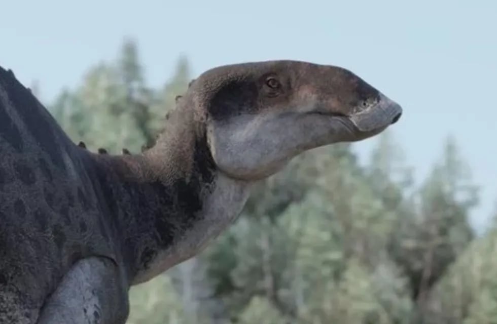Investigadores de la Universidad de Chile identificaron una nueva especie de dinosaurio "pico de pato". Gentileza: La Prensa.
