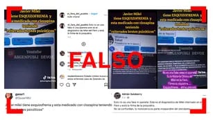 Es falso el video que muestra la historia clínica de Javier Milei en una web del Ministerio de Salud