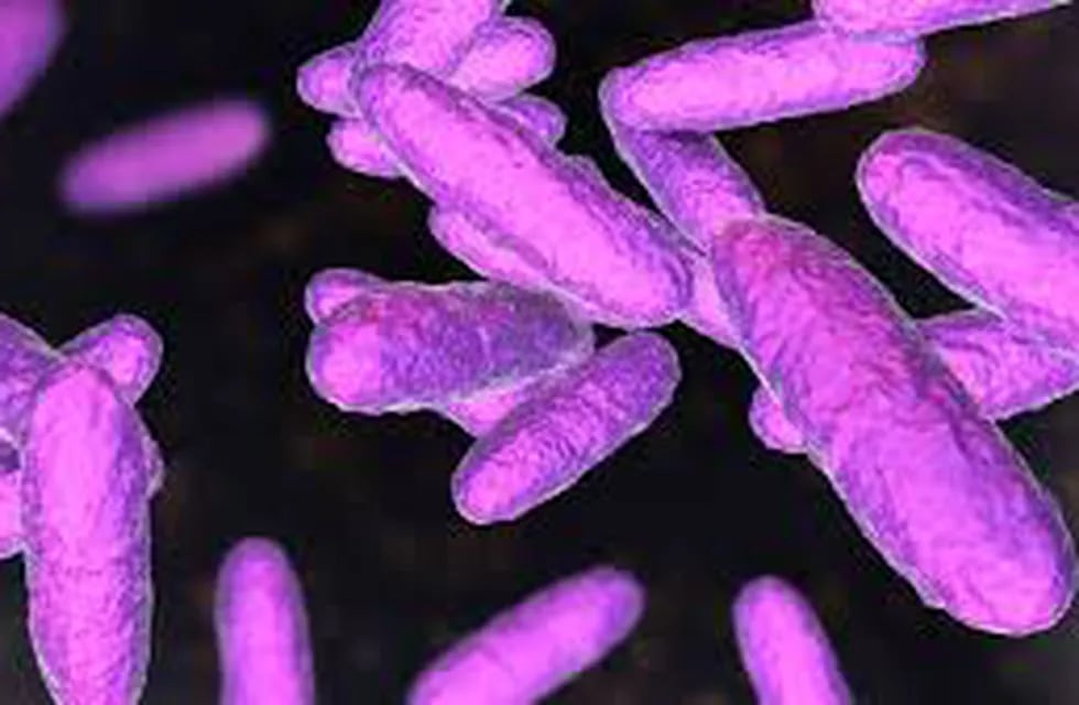 Un informe detalla que son cada vez más frecuentes los casos de bacterias "comecarne" que se transmiten vía sexual.