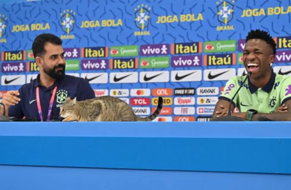 El joven delantero brasileño estaba hablando ante los periodistas cuando un felino se subió a la mesa. Foto: Web