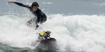 Efruz, el perro surfista que se roba todas las miradas en las playas de Perú