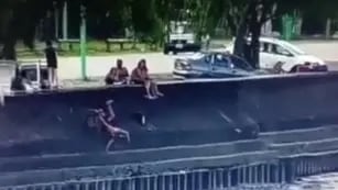 Video impactante: una camioneta dio marcha atrás, chocó a un hombre y lo arrojó al Río de la Plata