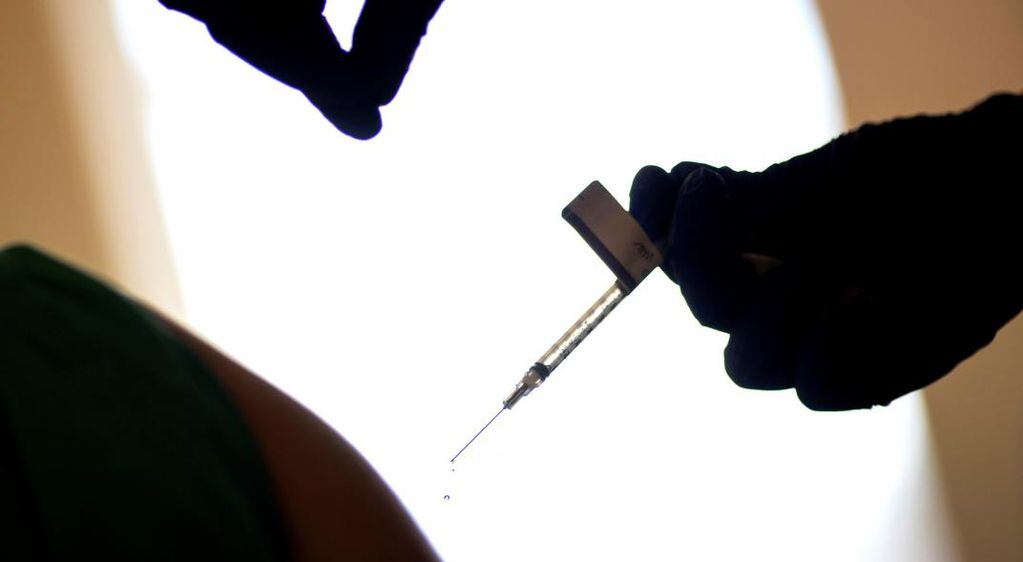 Vacuna de Pfizer y BioNTech. (AP/David Goldman/Archivo)