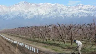 Mendoza es un desierto donde solo se puede ocupar el 4% por las limitaciones que genera la falta de agua.  - Claudio Gutierrez / Los Andes