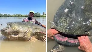 Capturó un monstruoso pez de apariencia prehistórica