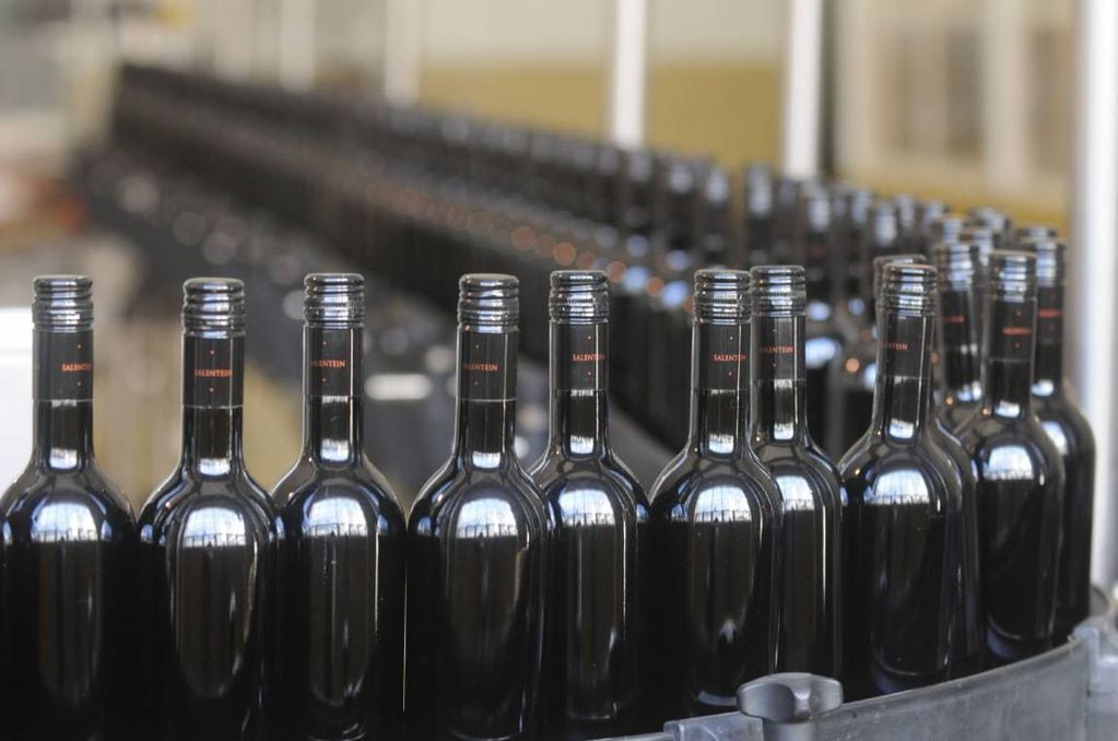 Argentina aumentó en la producción de vino tinto un 66%. 
