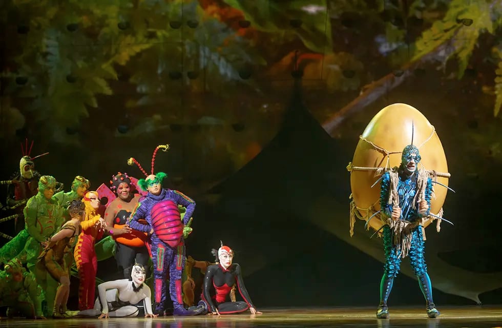 Ovo: un viaje al centro del Cirque du Soleil