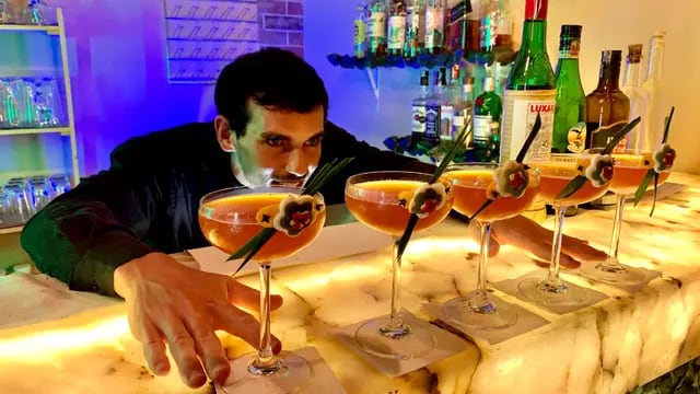 Jonny Piccolo bartender mendocino