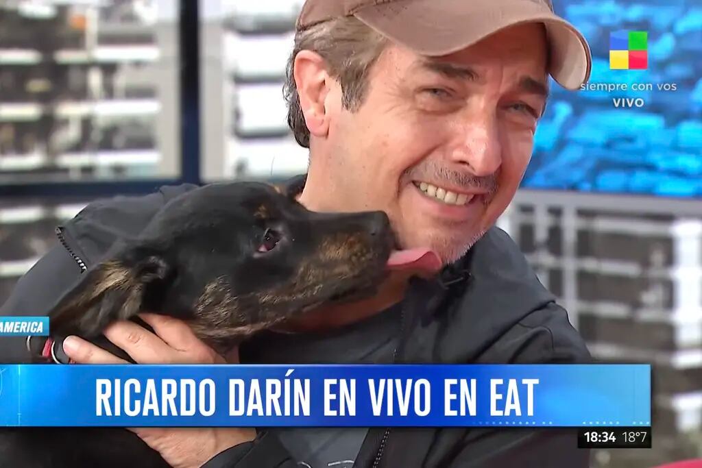 Ricardo Darín encontró un perrito en la calle y lo llevó a la televisión para encontrar a sus dueños