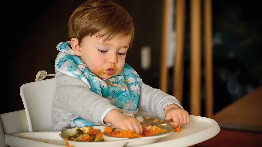 Se considera que un bebé está preparado para comenzar con la alimentación complementaria cuando adquiere las destrezas psicomotoras que permiten manejar y tragar de forma segura los alimentos. 