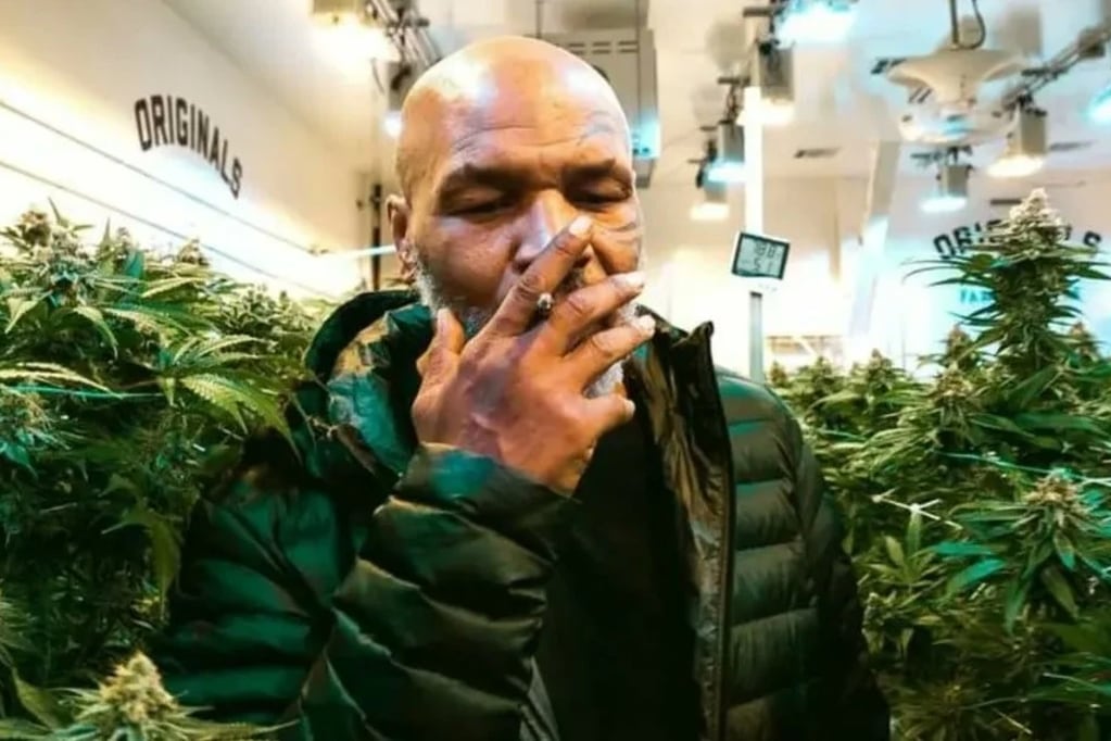 Entre plantas de marihuana y miles de dolares: el exboxeador Mike Tyson