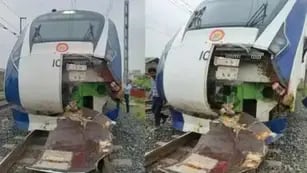 India: un tren atropelló a una vaca y mató a un hombre que estaba orinando en las vías