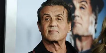 "Rocky Balboa" será el protagonista de las nuevas historias creadas por el actor, director y productor estadounidense.