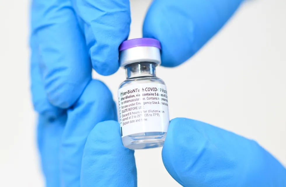 La llegada de vacunas Pfizer sigue trabada y es eje de peleas políticas. (AP)