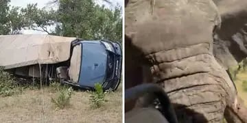 Video: un elefante volcó un vehículo de safari en Zambia y mató a una mujer de 80 años