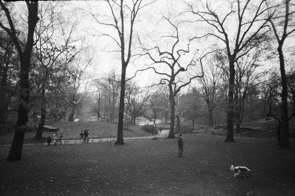 El Central Park fotografía con rollo, como se hacía antes.