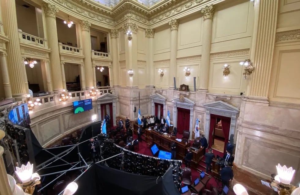 El proyecto de ley de Parrilli generó cortocircuitos en el Senado. / archivo Clarín