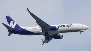 Wingo, la aerolínea low cost de origen colombiano que se instalará en Argentina