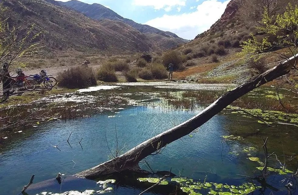 Paraje. En la concurrida Laguna de los Cangrejos resaltan la flora y la fauna autóctona que puebla los alrededores. Foto: Ariel Querini / Los Andes.