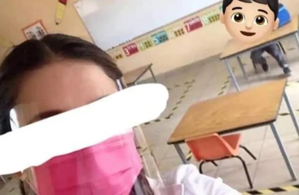 La maestra subió una imagen con un meme para burlarse del único estudiante que fue a su clase.