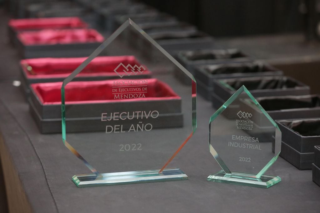 AEM reconoció a las empresas y los ejecutivos del año en Mendoza. - Gentileza