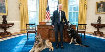 perros de Biden