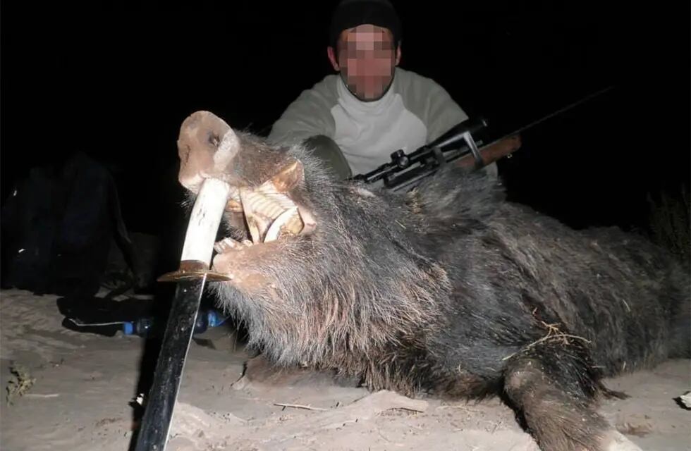 Un cazador mendocino junto a un gran ejemplar de jabalí, una de las especies que más destrozo causa en los cultivos. Está permitida su caza en Mendoza.