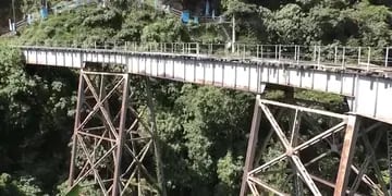 salto bungee