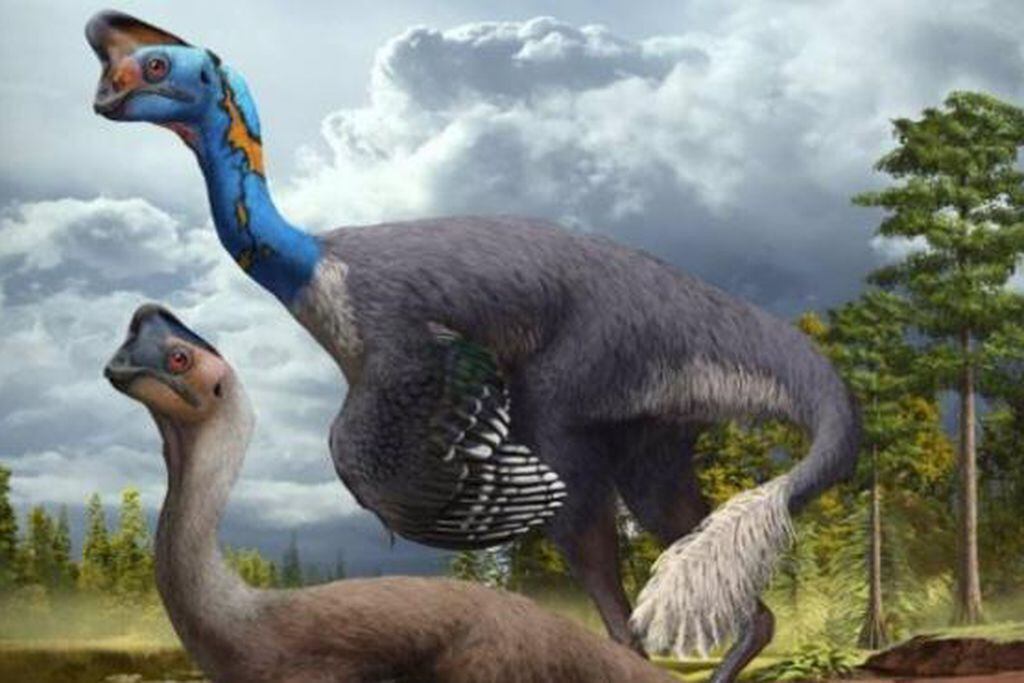 Descubren el primer dinosaurio del mundo que estaba incubando y encuentras  a sus crías fosilizadas