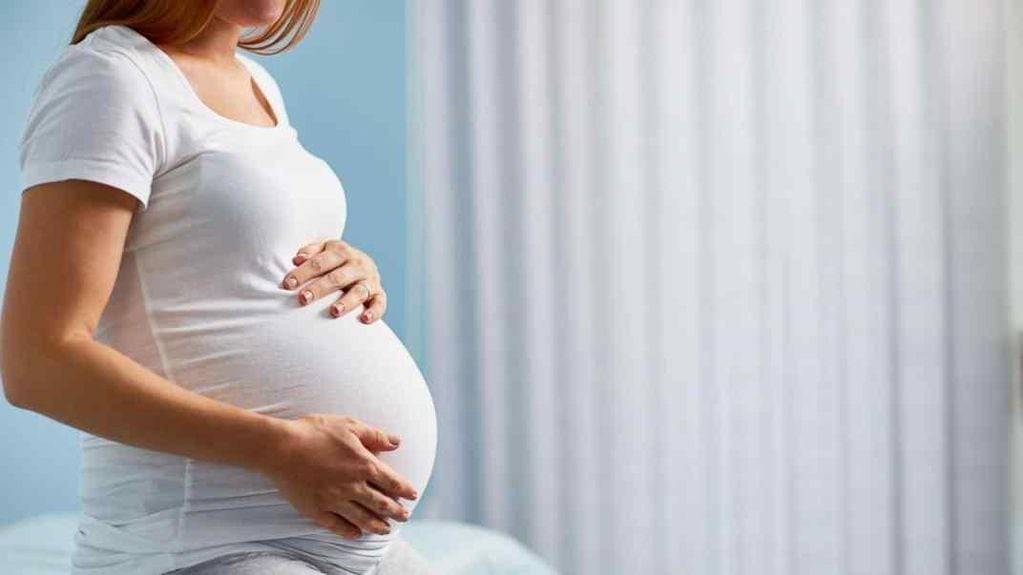 Requisitos para cobrar la Asignación por Prenatal de Anses (Imagen ilustrativa / Archivo)