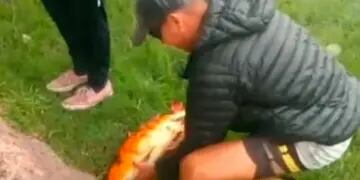 Video: salió a pescar con amigos y atrapó un exótico pez de origen chino