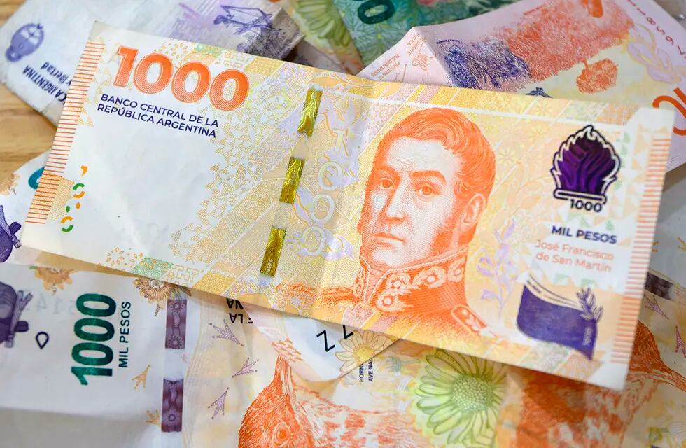 El billete de $1.000 con San Martín alcanza para hoy para un kg de arroz largo fino. Foto: Orlando Pelichotti / Los Andes