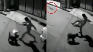 Video: intentó patear a un perro en la calle, falló vergonzosamente y el hecho se viralizó
