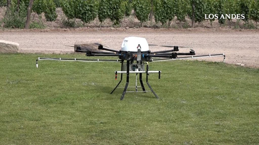 El Iscamen utiliza drones de alta precisión para hacer aplicaciones específicas para combatir la lobesia botrana