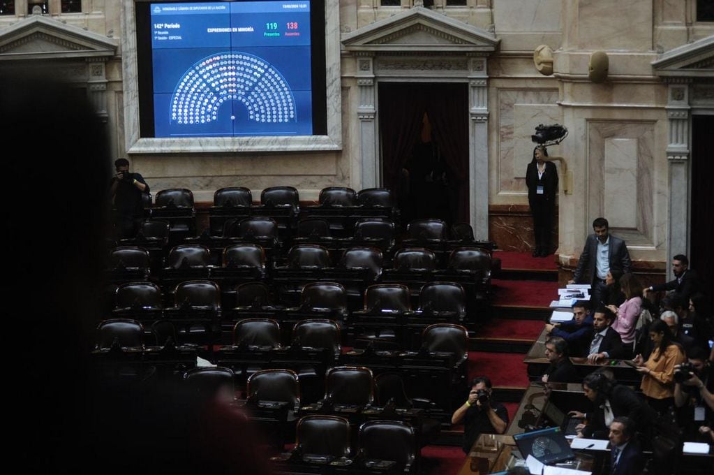 Sesión de la Cámara de Diputados.  (Federico López Claro)