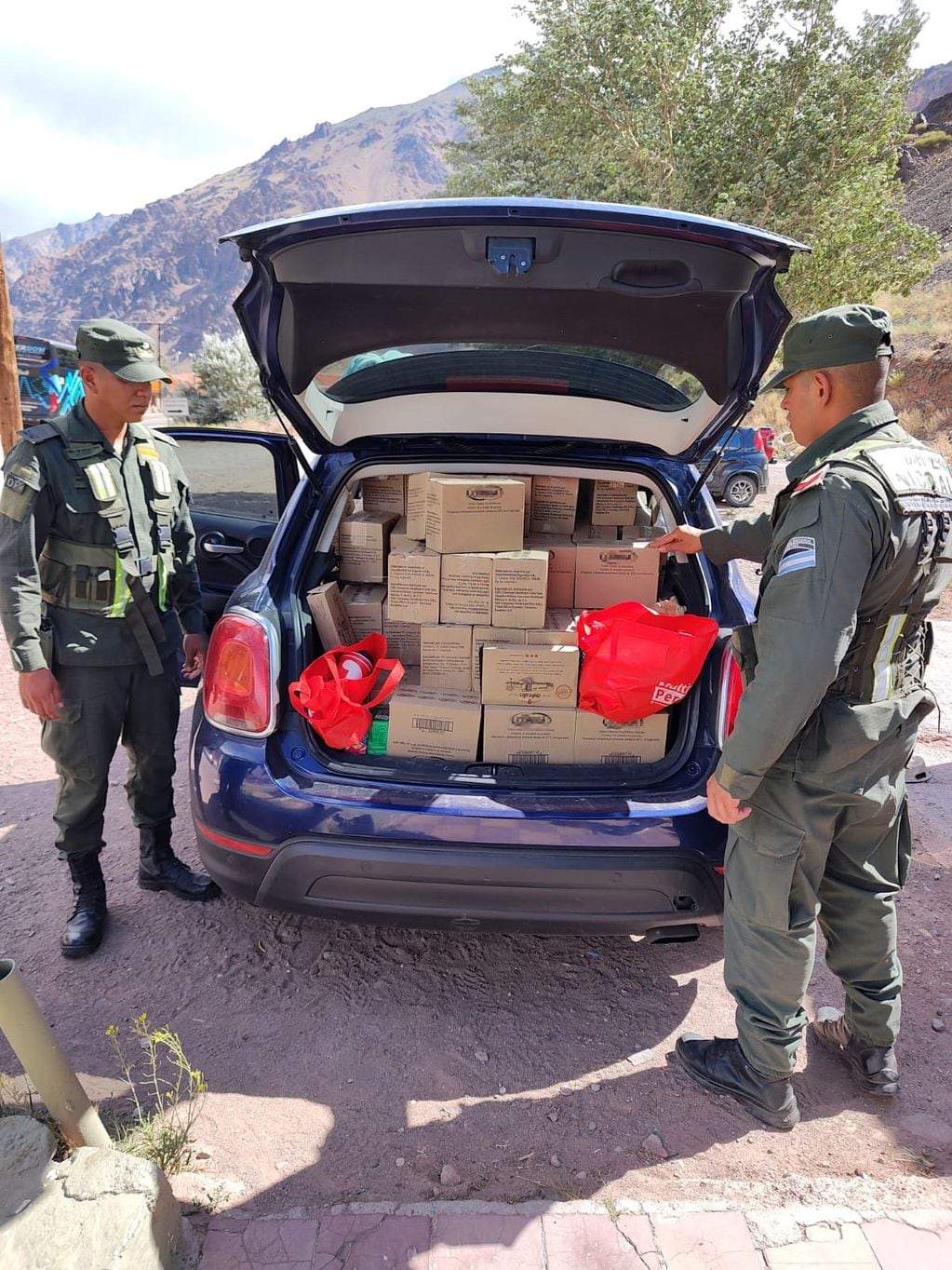 La carga de pegamentos para prítesis dentales que iba a pasar a Chile. Gentileza Gendarmería Nacional.