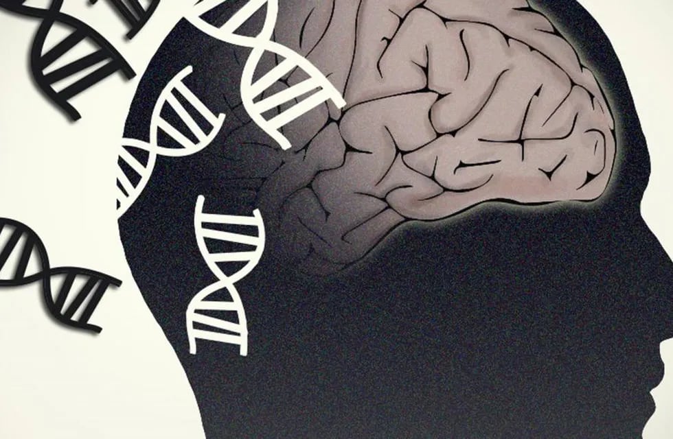 Alzheimer, Parkinson. Cerebro y genética. (Flicker/National Human Genome RE/Europa Press/DPA)