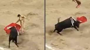 El torero "Joselito" Adame resutó herido por una cornada (Captura de video).