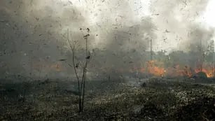 Incendios forestales en Bolivia