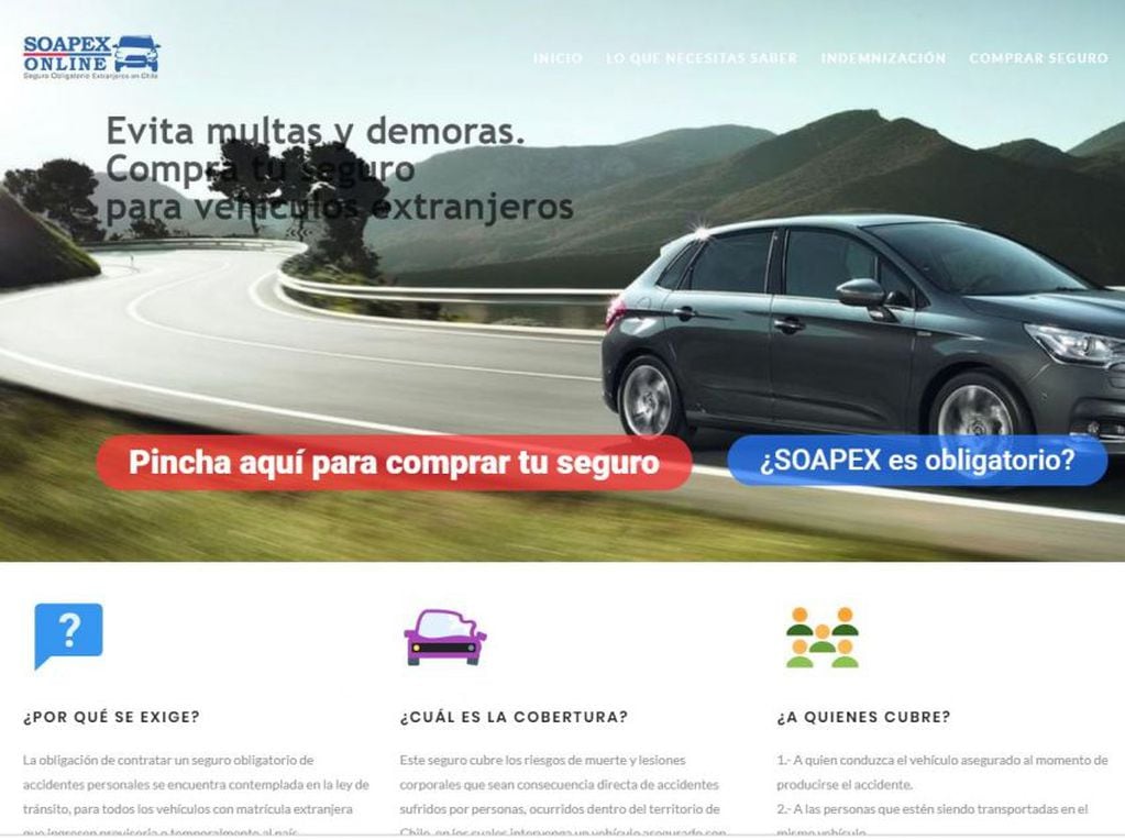 El Soapex sigue siendo obligatorio en Chile: cuánto cuesta, cómo sacarlo y de cuánto es la multa si no lo llevo. Foto: Captura Web