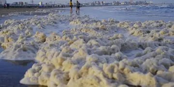 Espuma en las playas de Mar del Plata